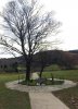 The site of Gelert's Grave in Beddgelert, Snowdonia in N.Wales.